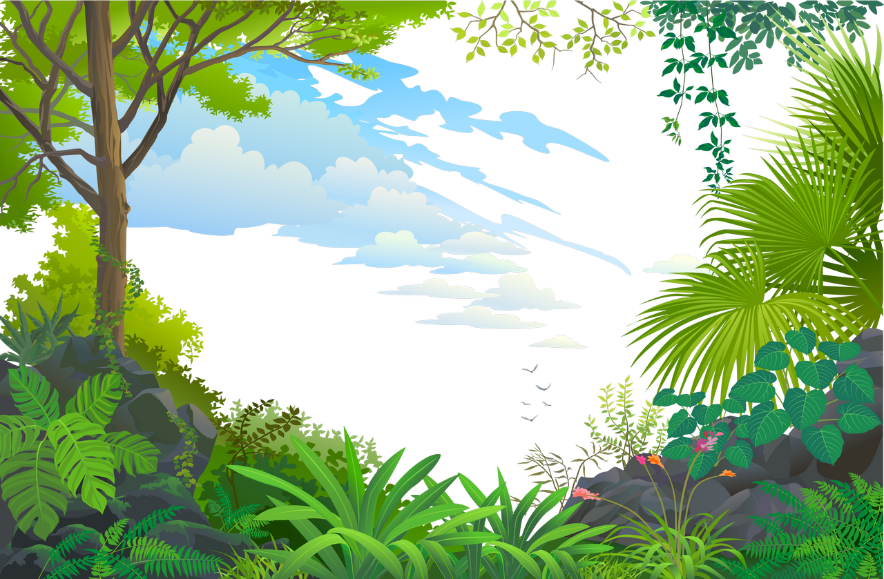 Jungle clipart nature tropical scene image