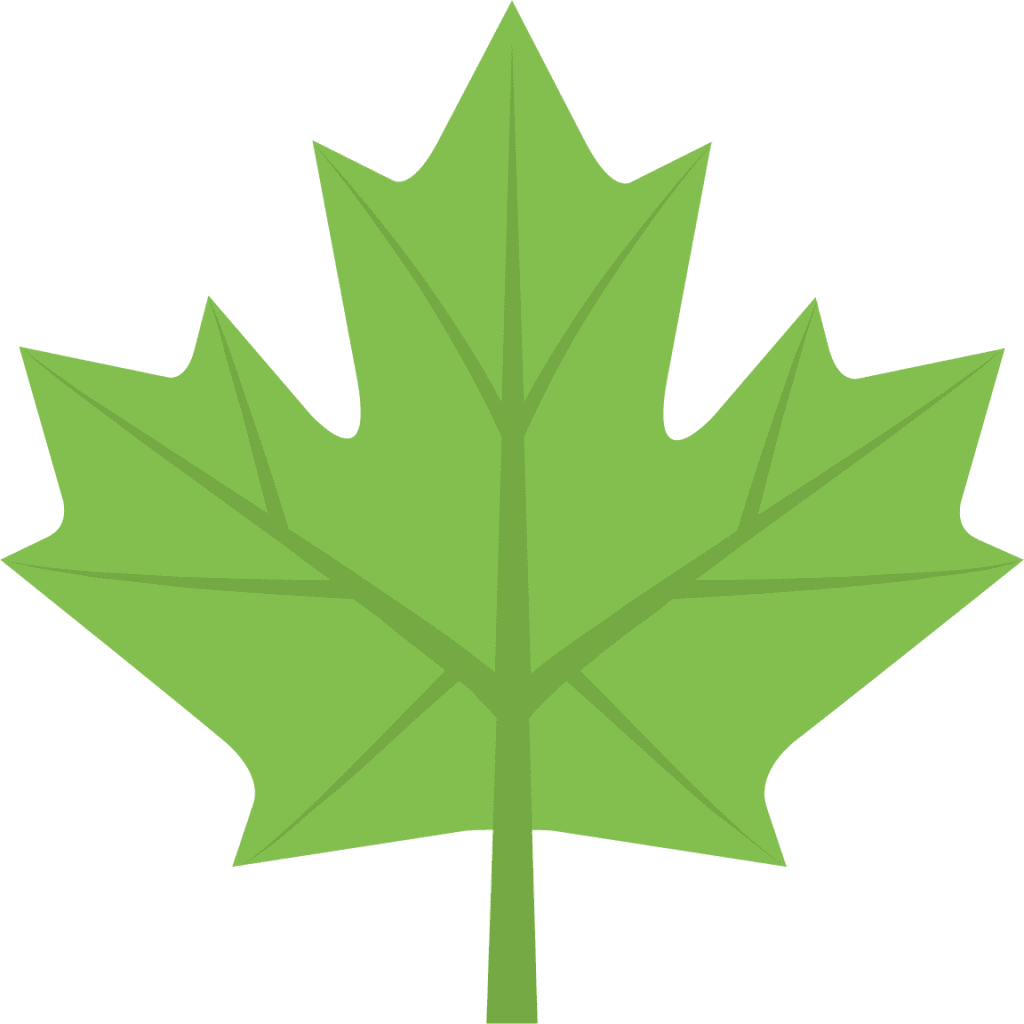 Maple leaf emoji for clipart transparent