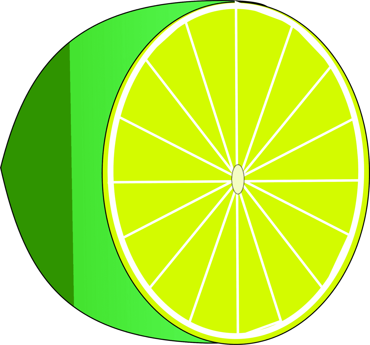 Lime vector clipart images 7