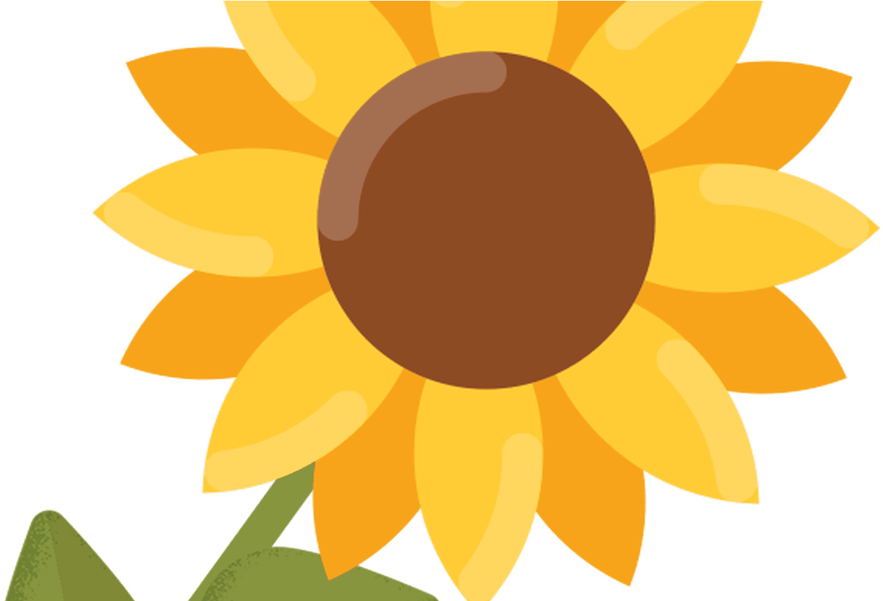 Imagery new sunflower clipart images image with no background