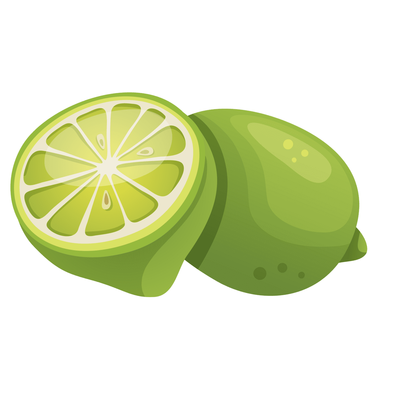 Lime vegetable clipart vector