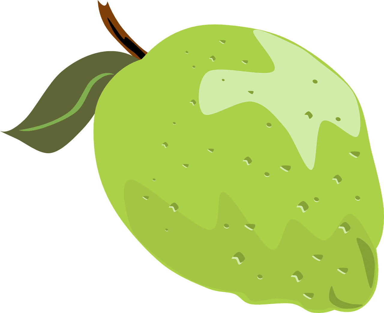 Lime fruit whole vector graphic clipart