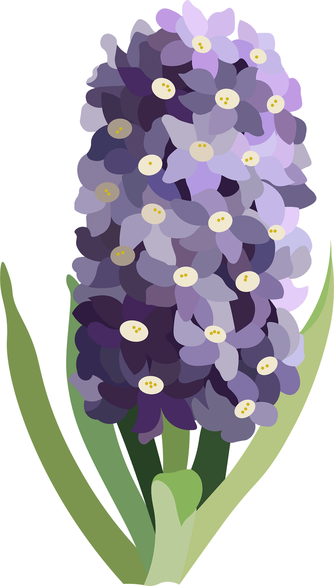 Lavender clipart images photos and vectors