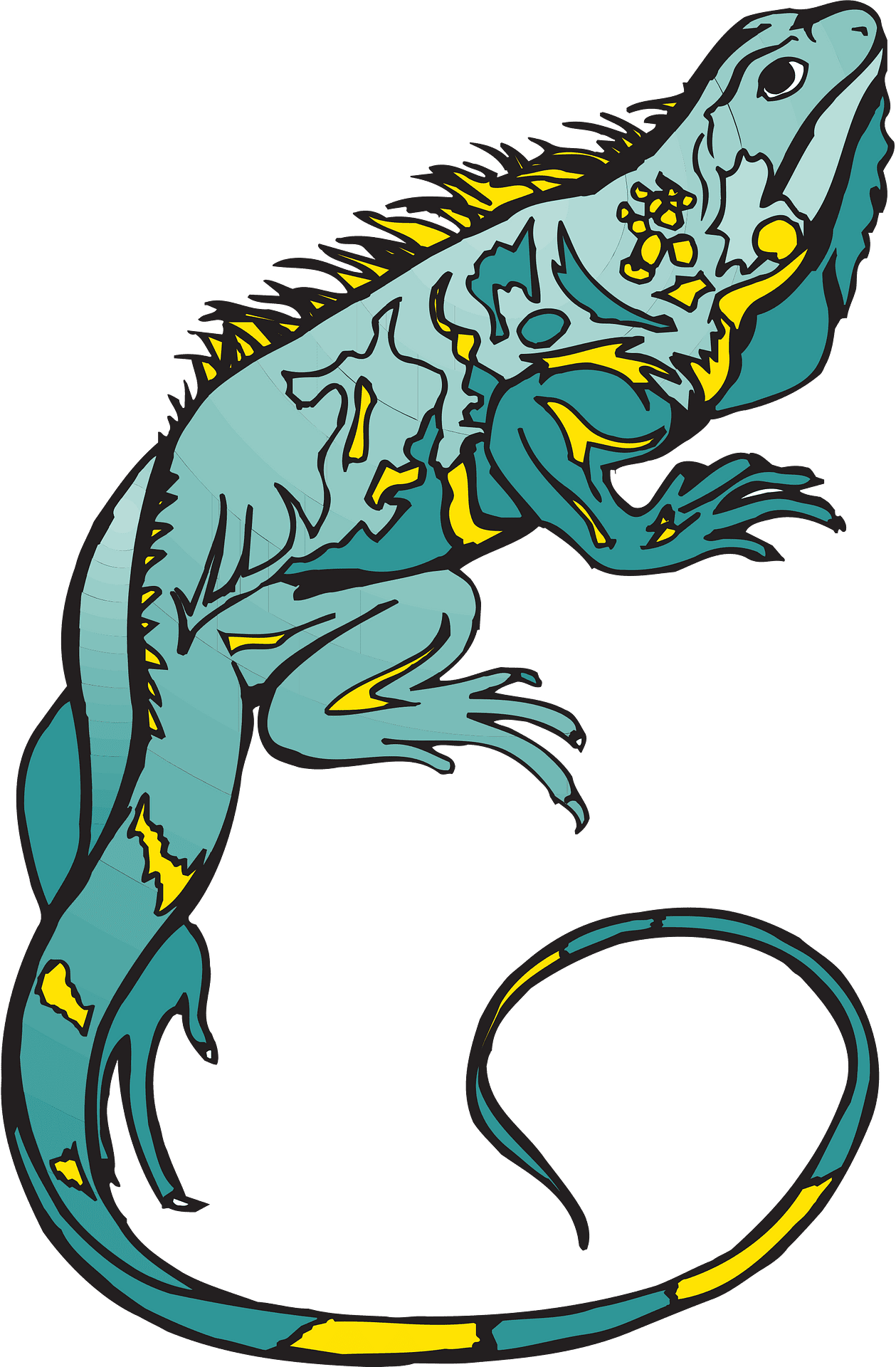 Iguana lizard vector clipart images