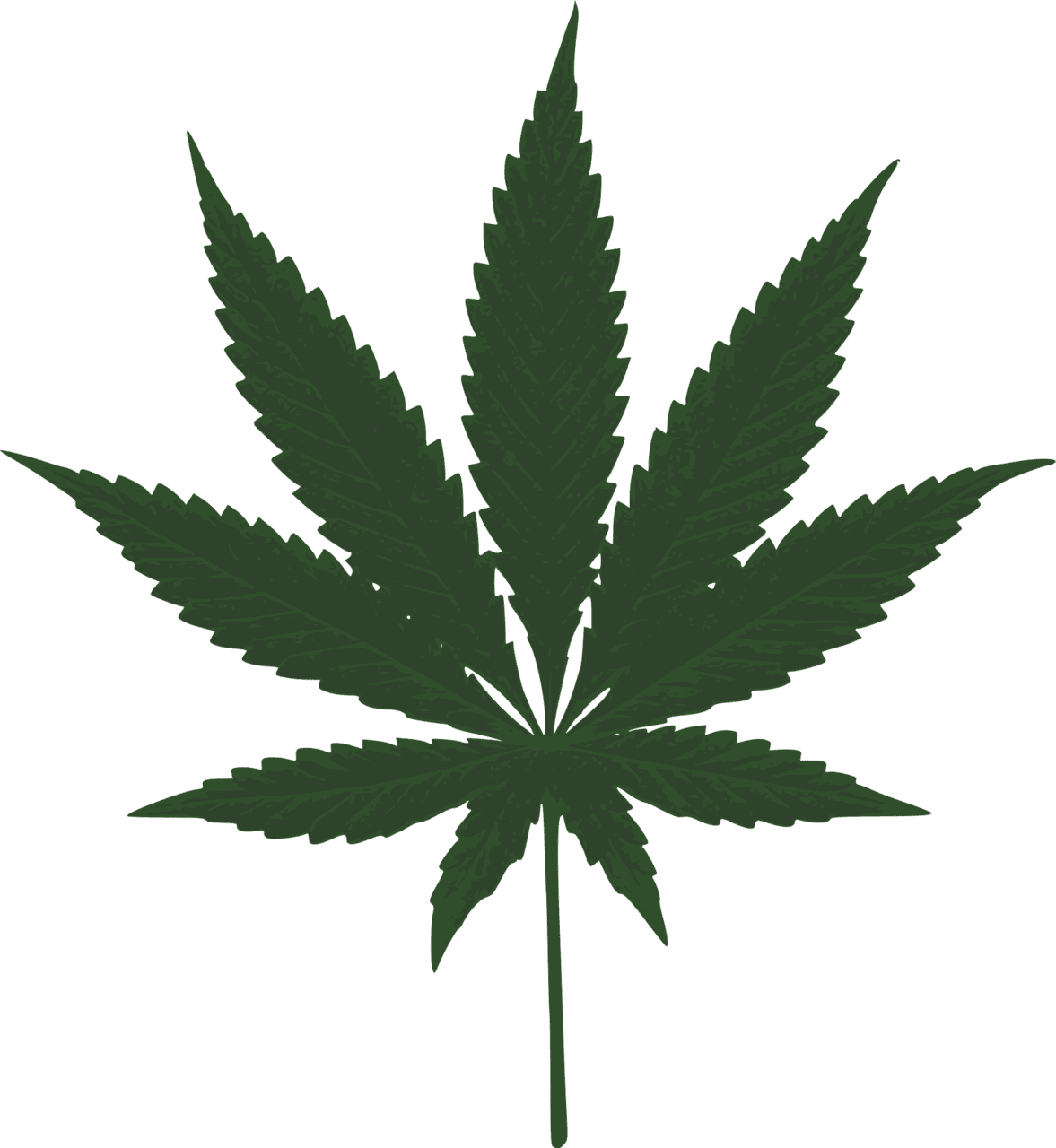 Marijuana leaf cannabis vector clipart images