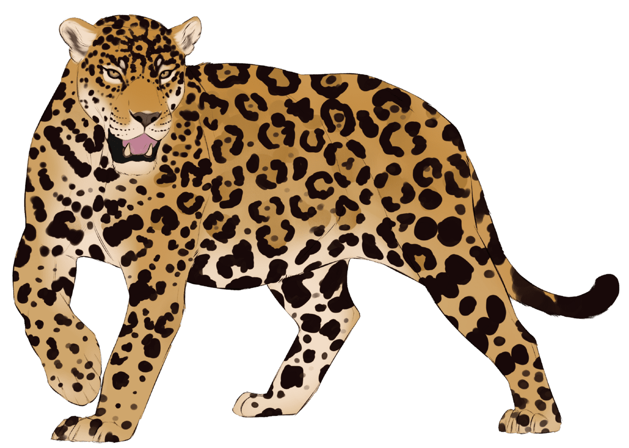 Jaguar art by scarlattaz clipart transparent