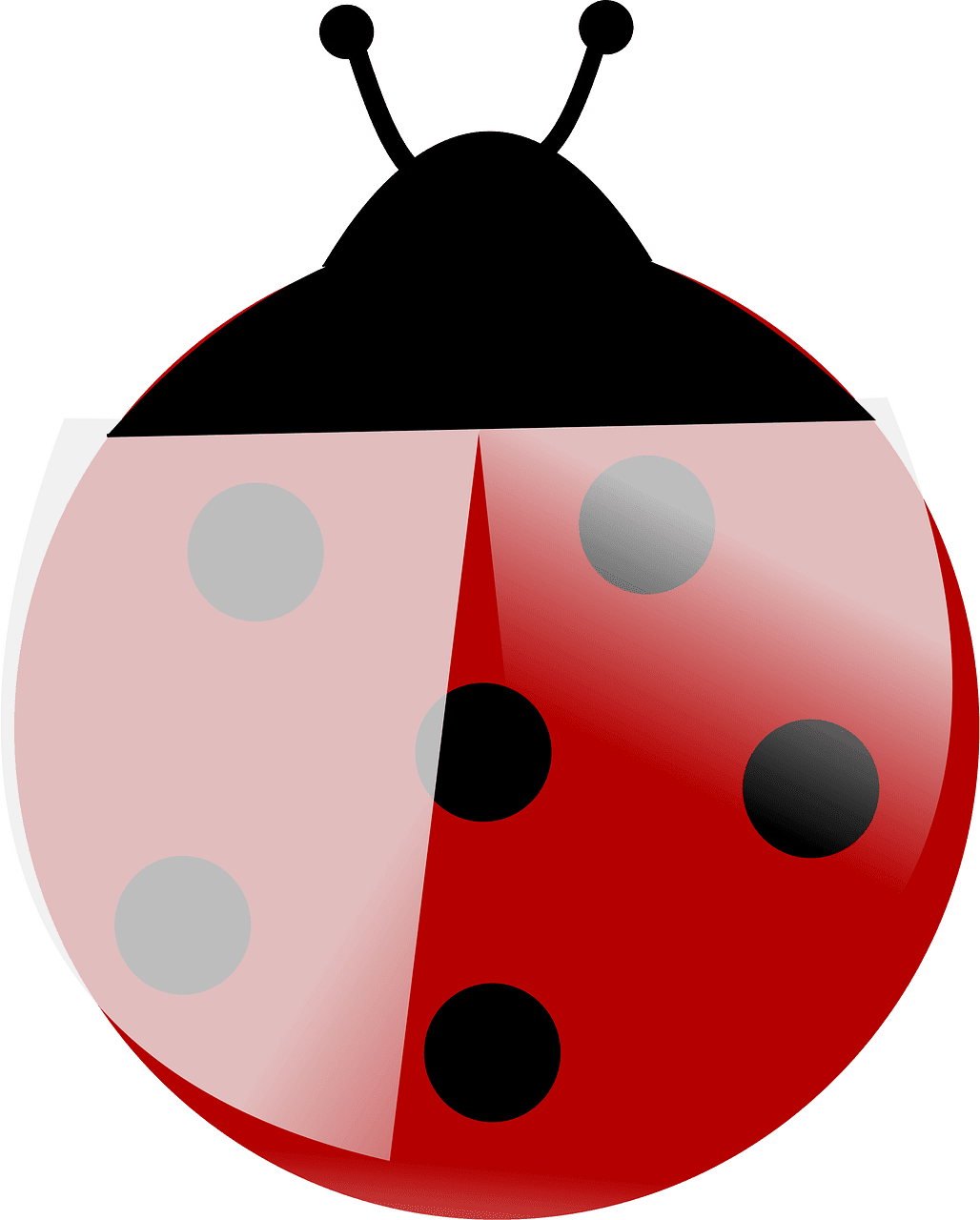 Lady beetle ladybug vector clipart images 10