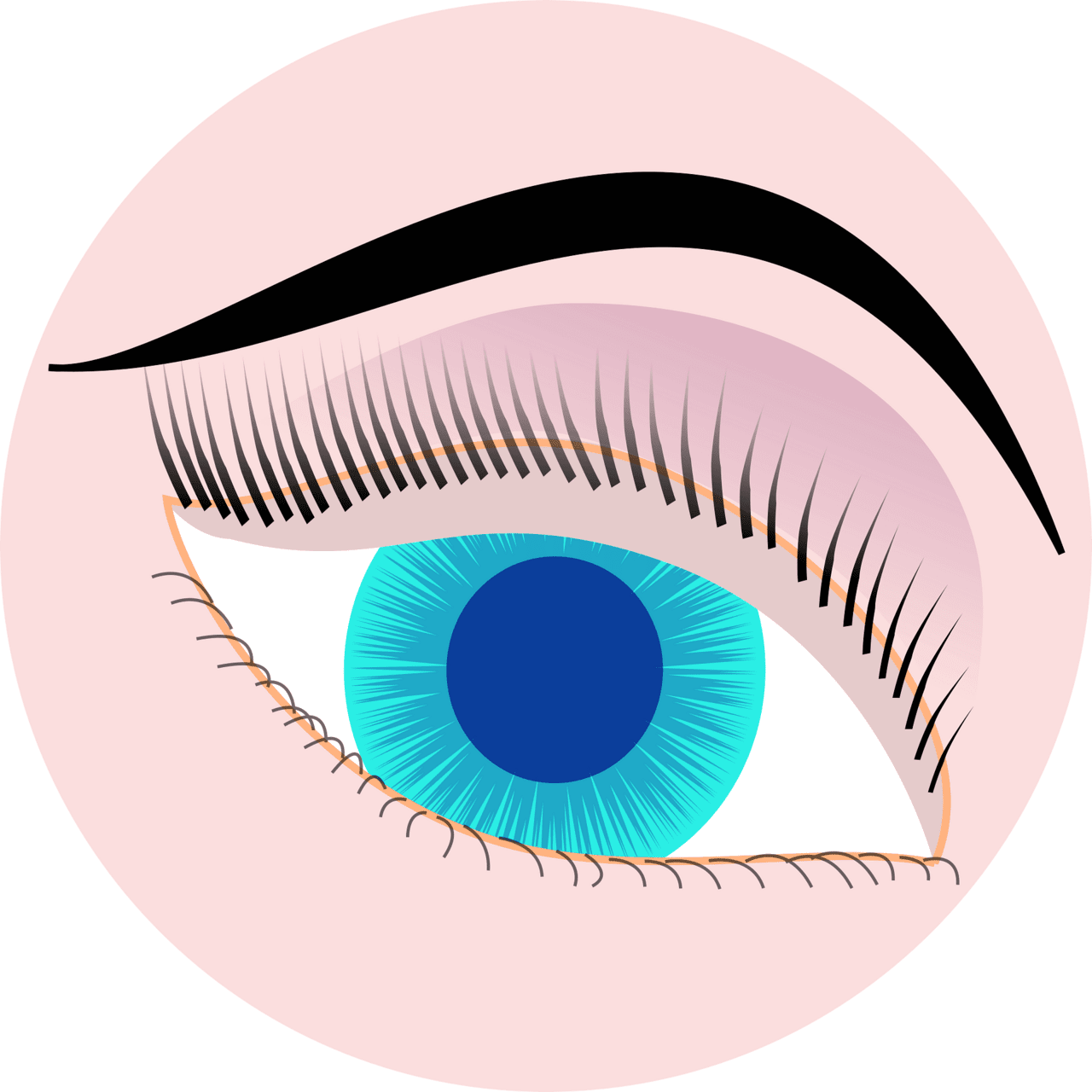 Lashes eye vector clipart images