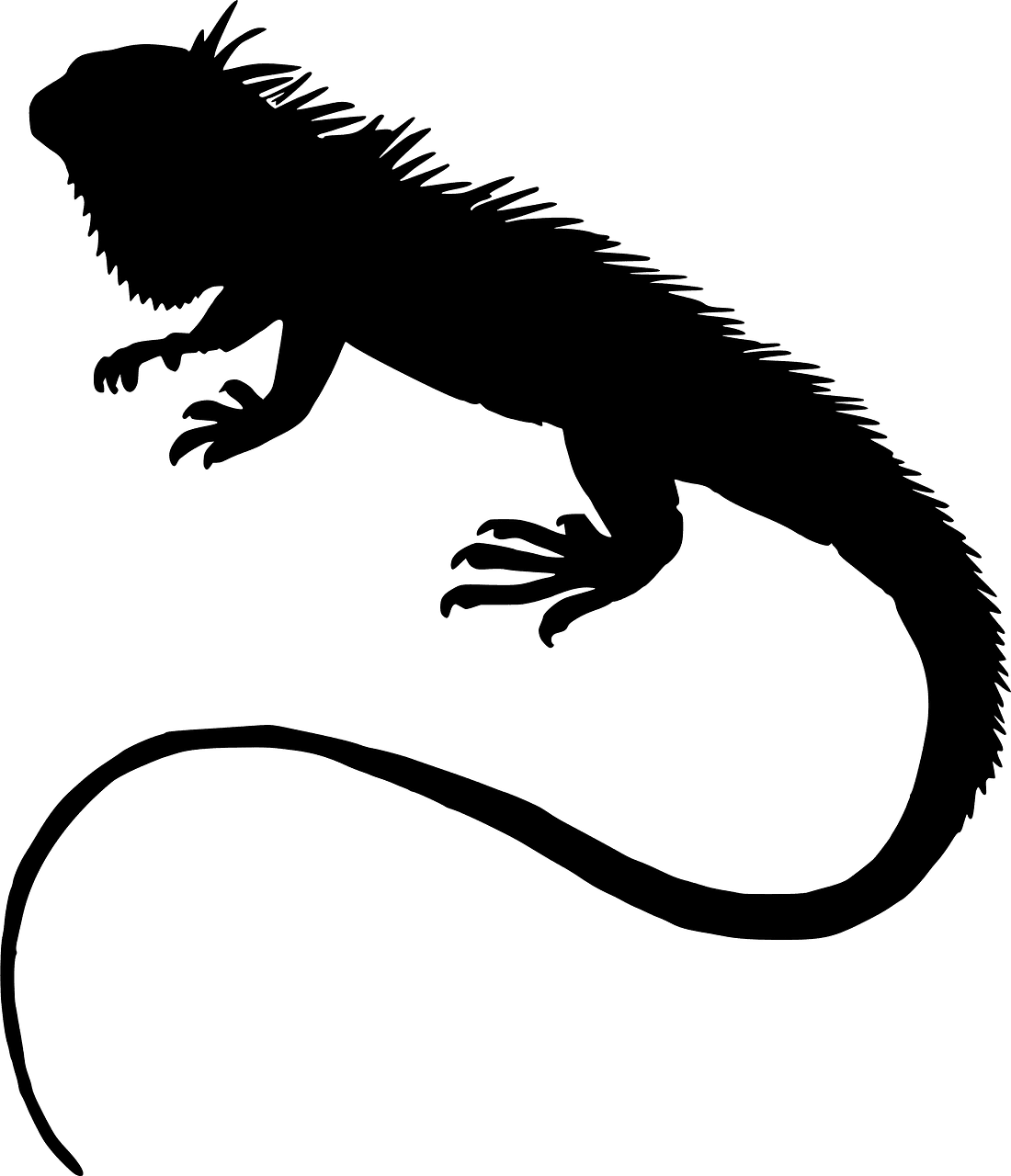 Iguana vector silhouettes clipart