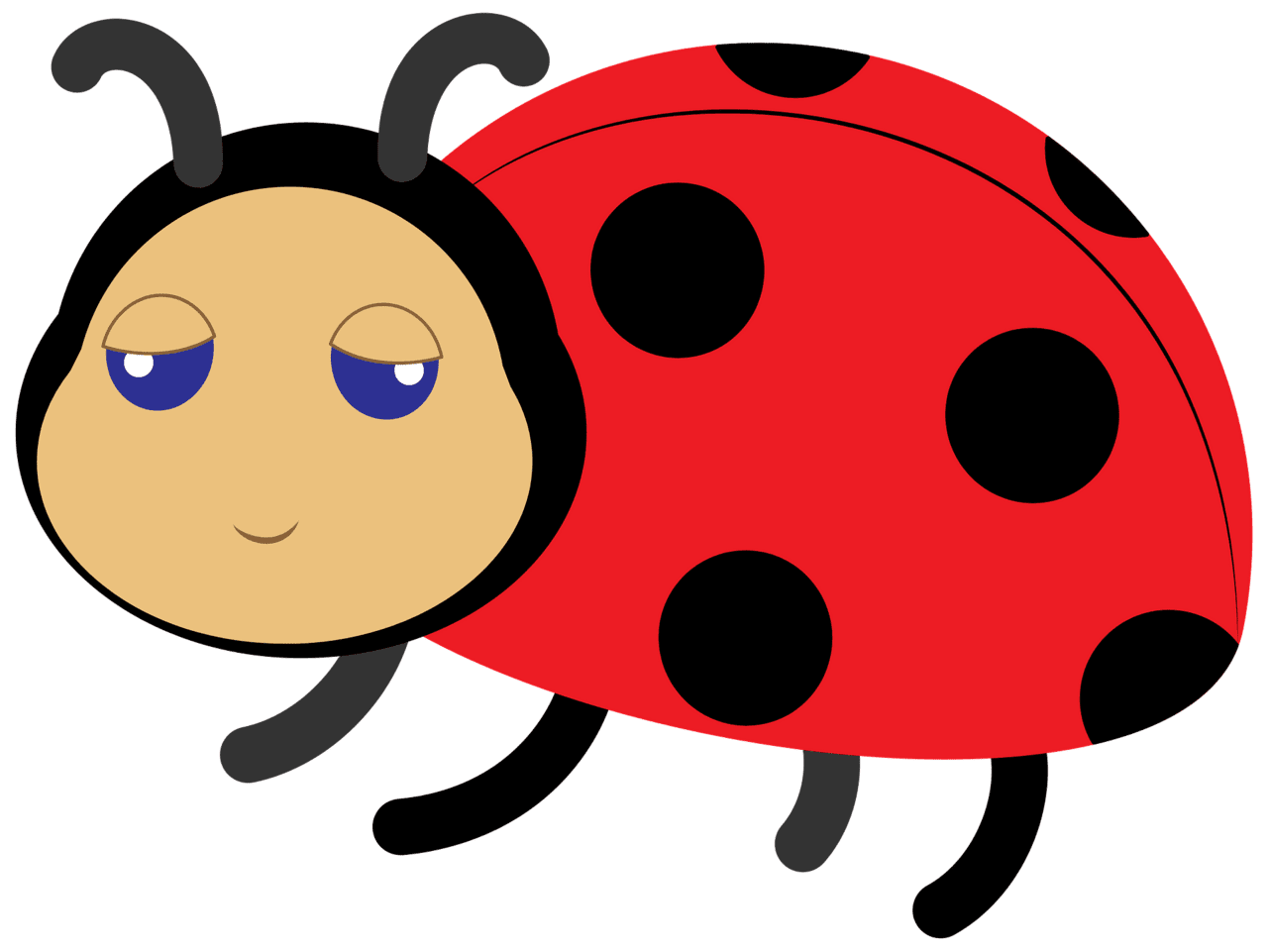 Lady beetle ladybug vector clipart images 3