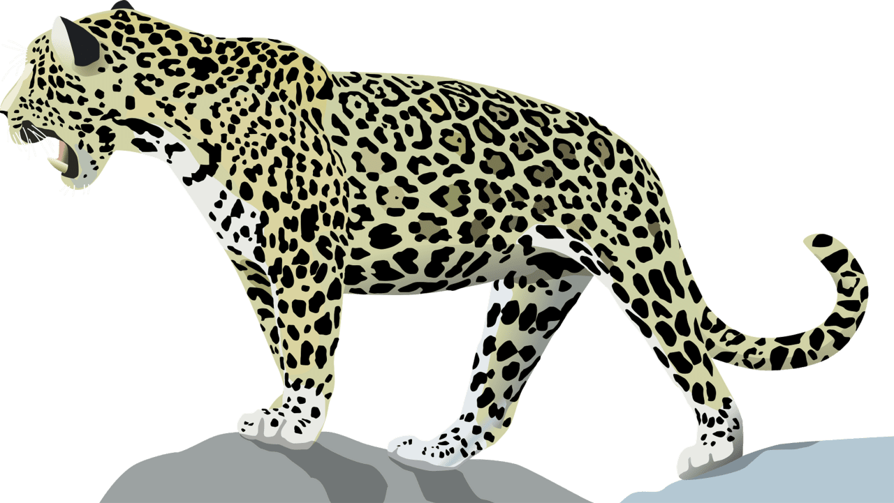 Jaguar vector clipart images 3