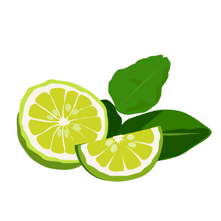 Lime tropical produce imports from latin america continental fresh clipart clip art