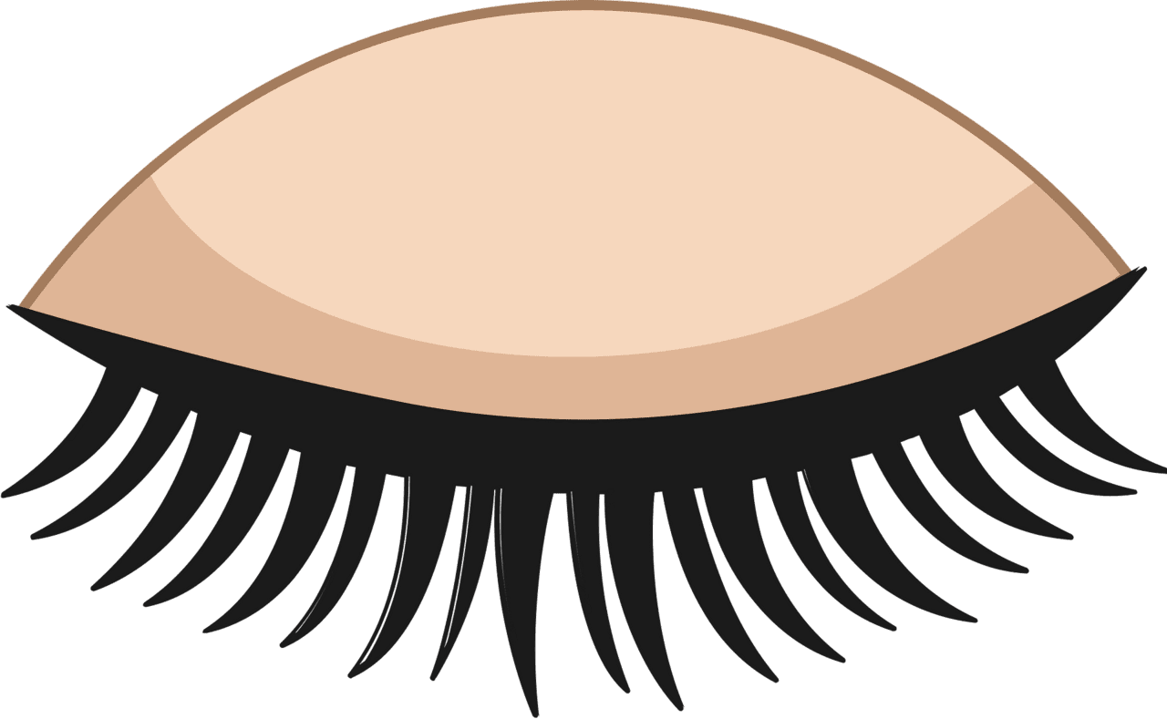 Lashes eyelash vector clipart images