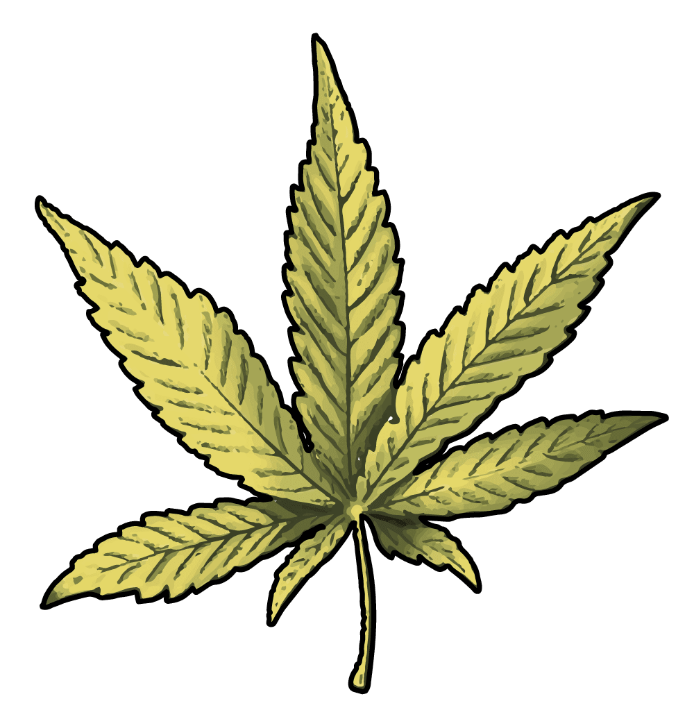 Marijuana leaf koh samui first ly cannabis menu chi clipart transparent