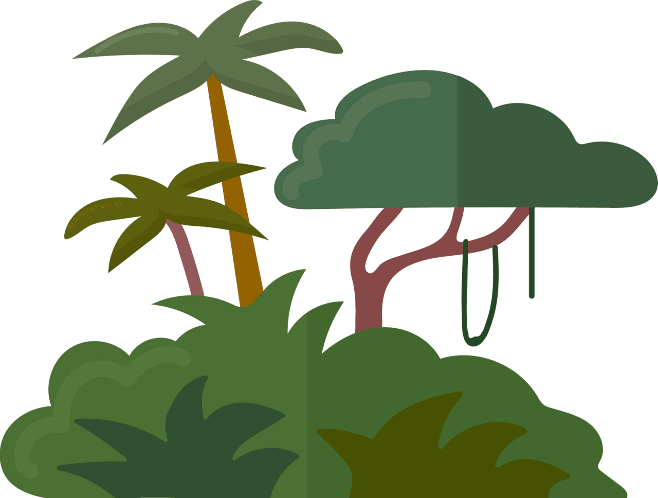 Jungle vector clipart images