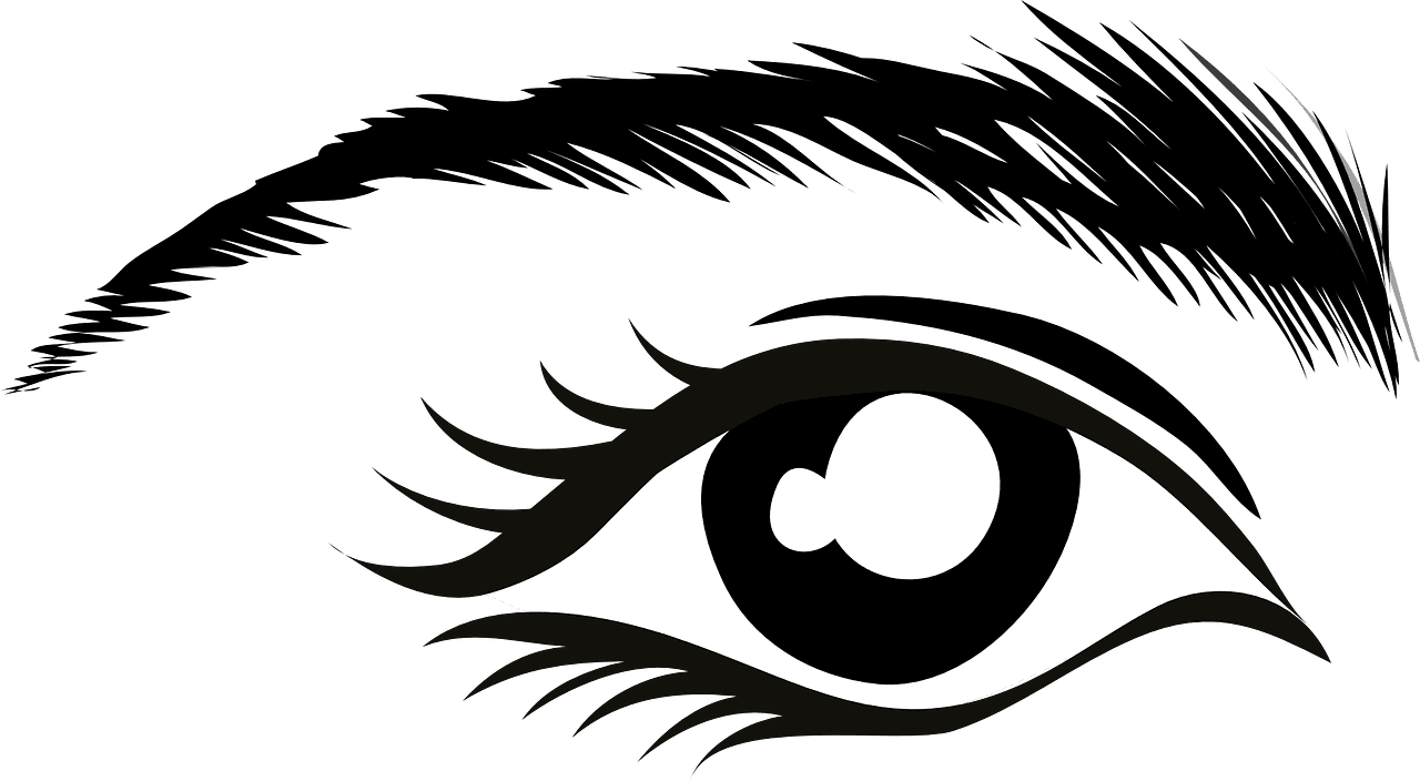 Eye eyebrow lashes vector graphic clipart