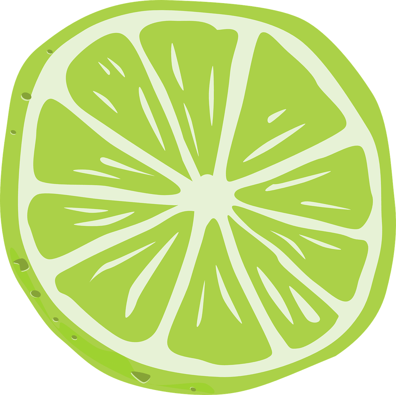 Lemon lime slice vector graphic clipart