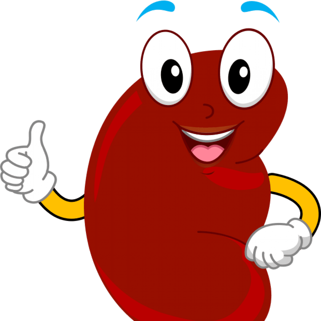 World kidney day school kit age organ tissue edu tion clipart free