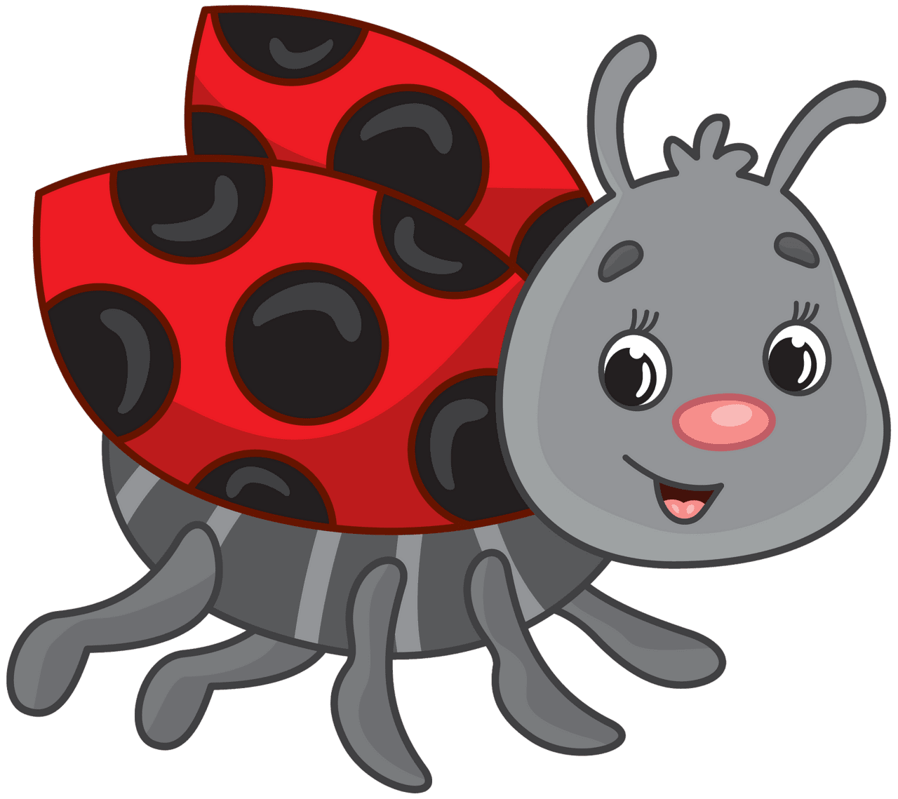 Lady beetle ladybug vector clipart images