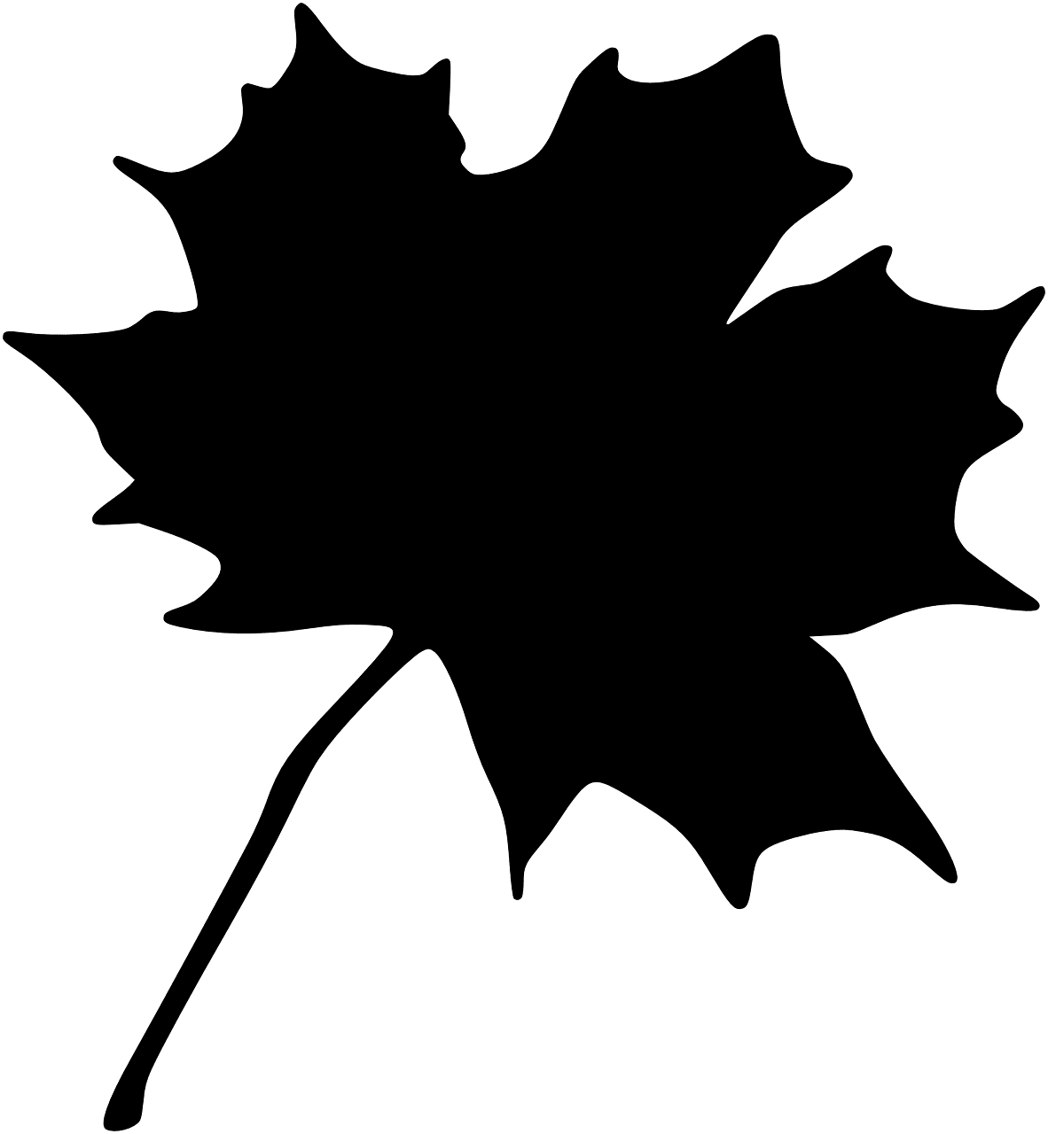 Maple leaf nature vector graphic clipart