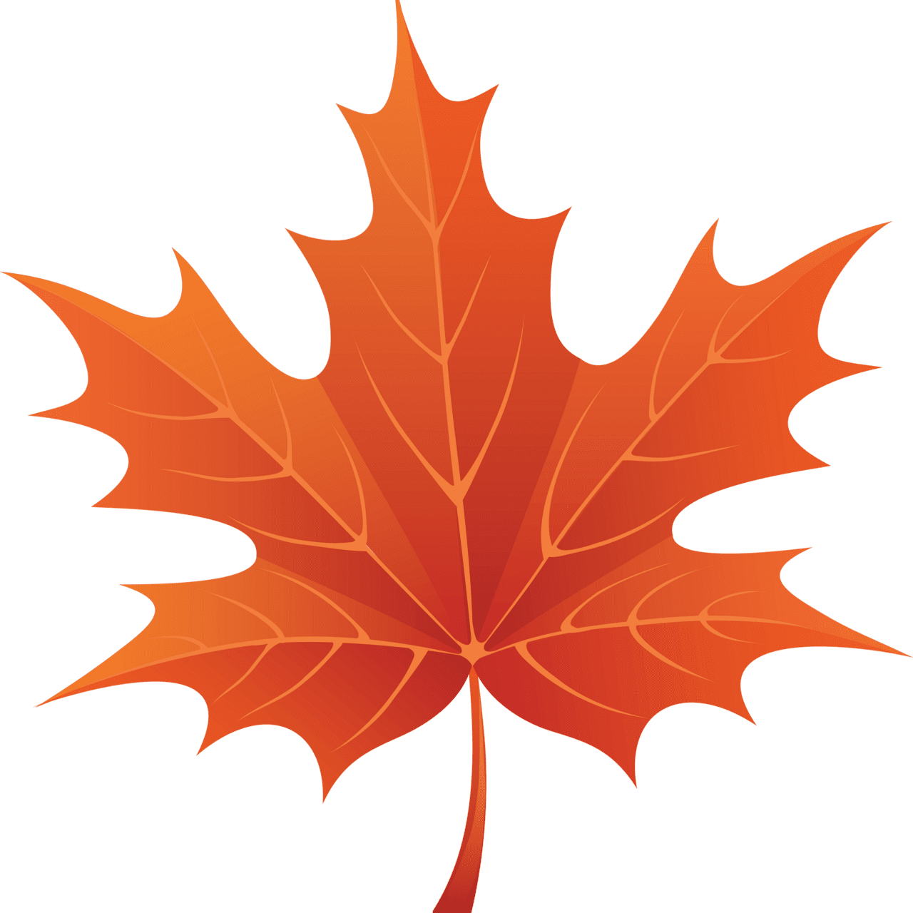 Brown maple leaf stic clipart photo