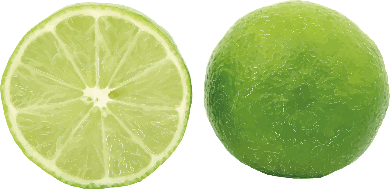 Lime lemon vector clipart images