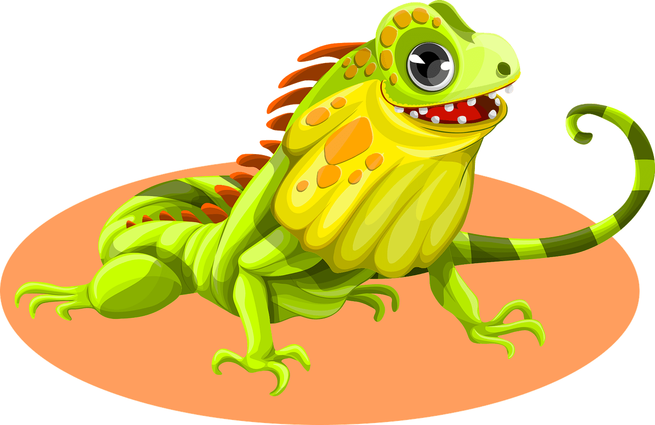 Iguana animal lizard vector graphic clipart 3