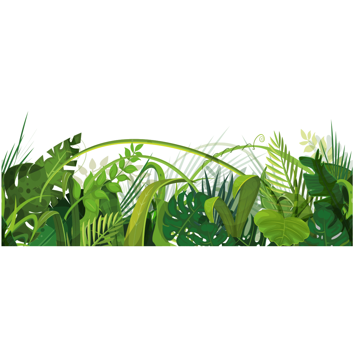 Window cm the jungle wall decals business for shop windows clipart image