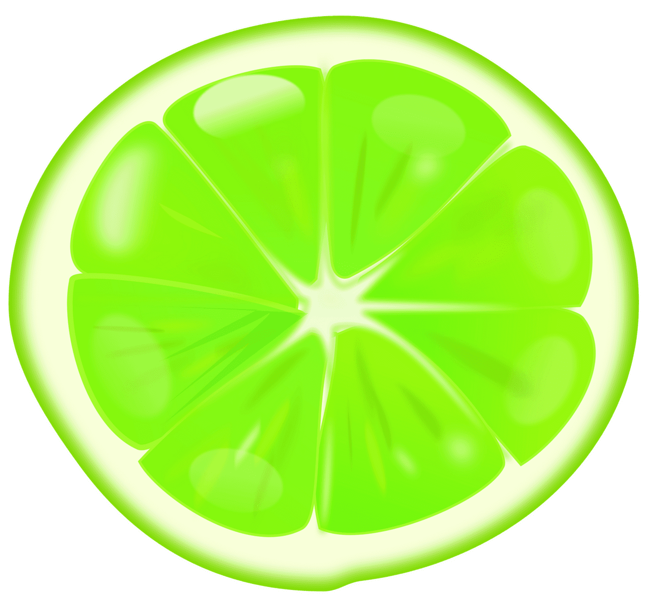 Lime slice vector clipart images