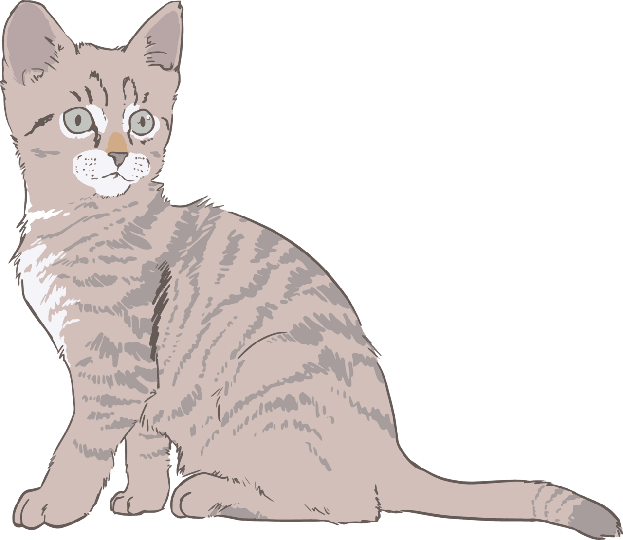 Kitten vector clipart image photo cc images