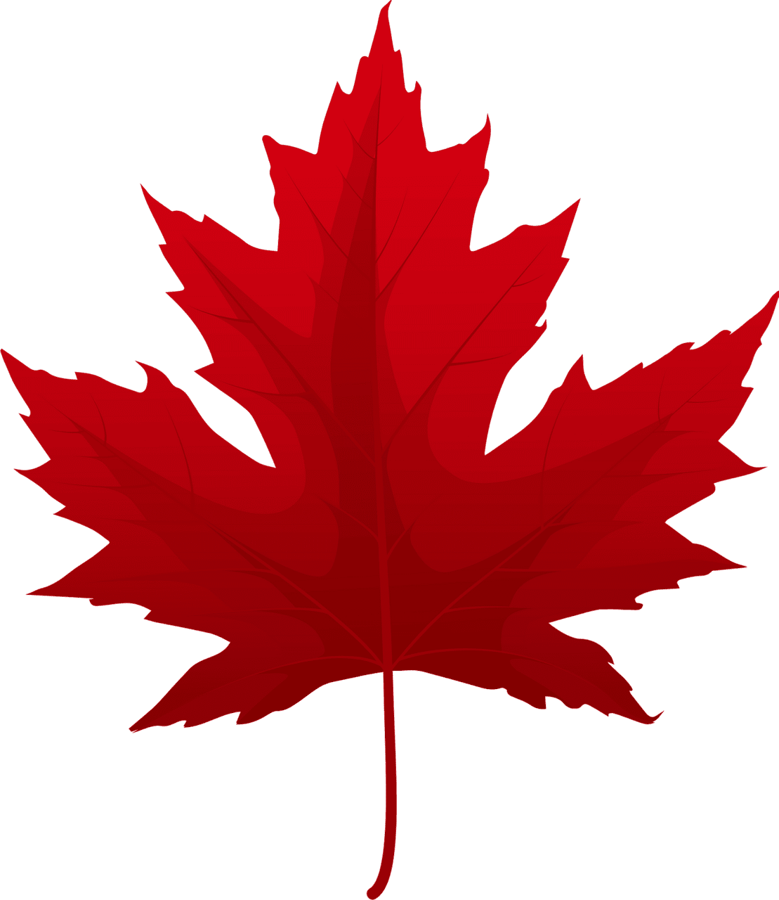 Maple leaf silver red vector clipart images