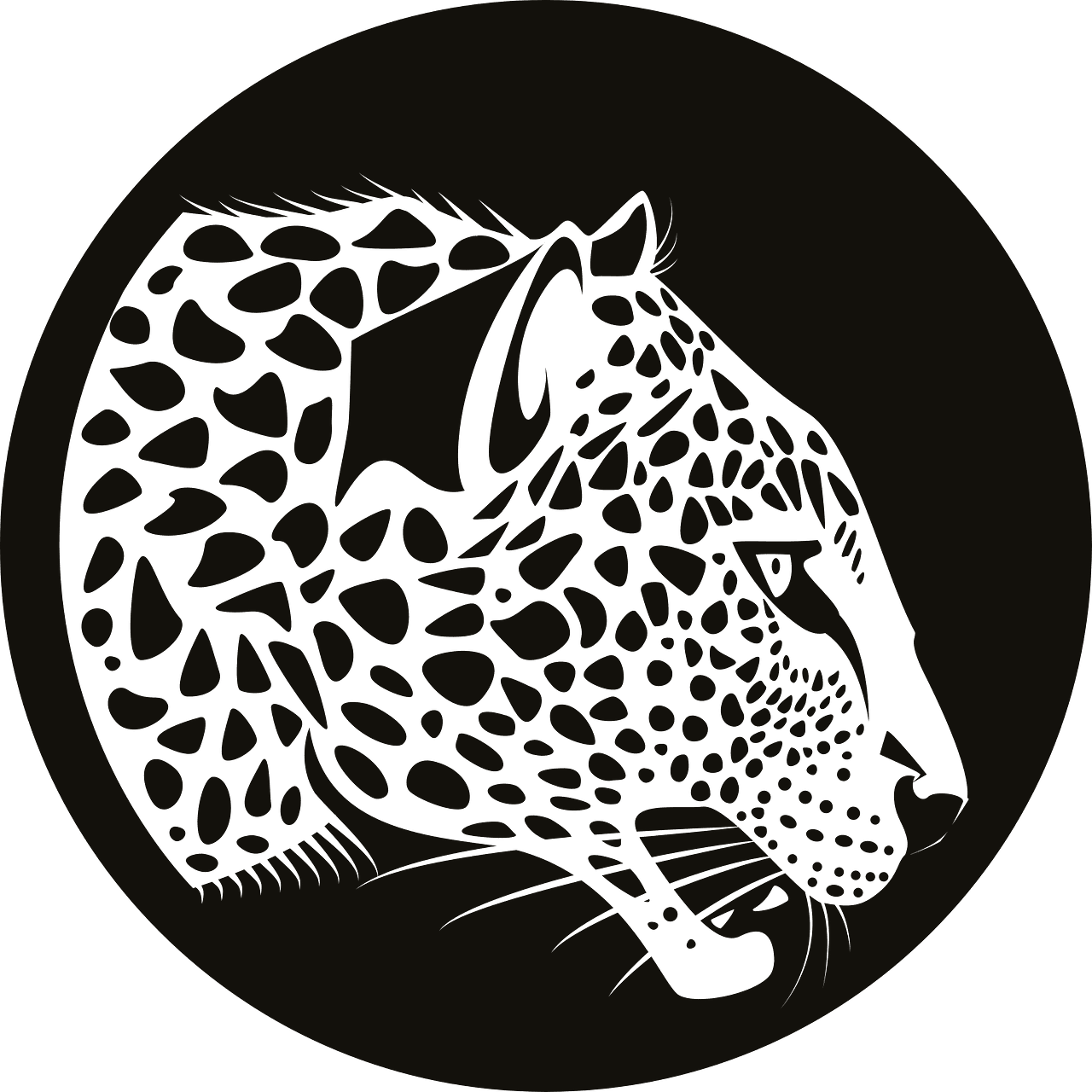 Jaguar leopard vector clipart images 3