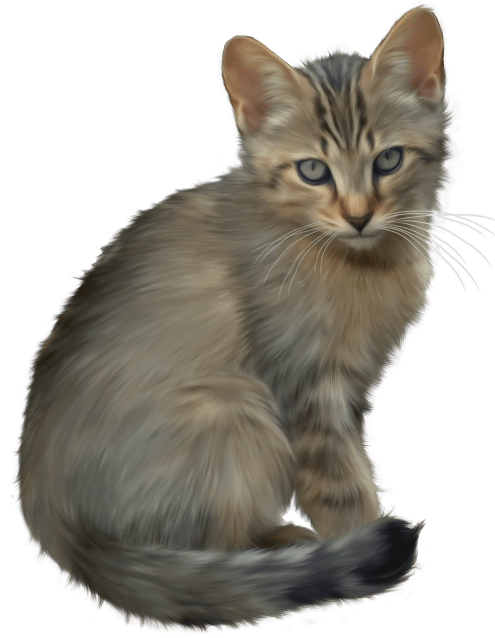 Cute kitten clipart best transparent