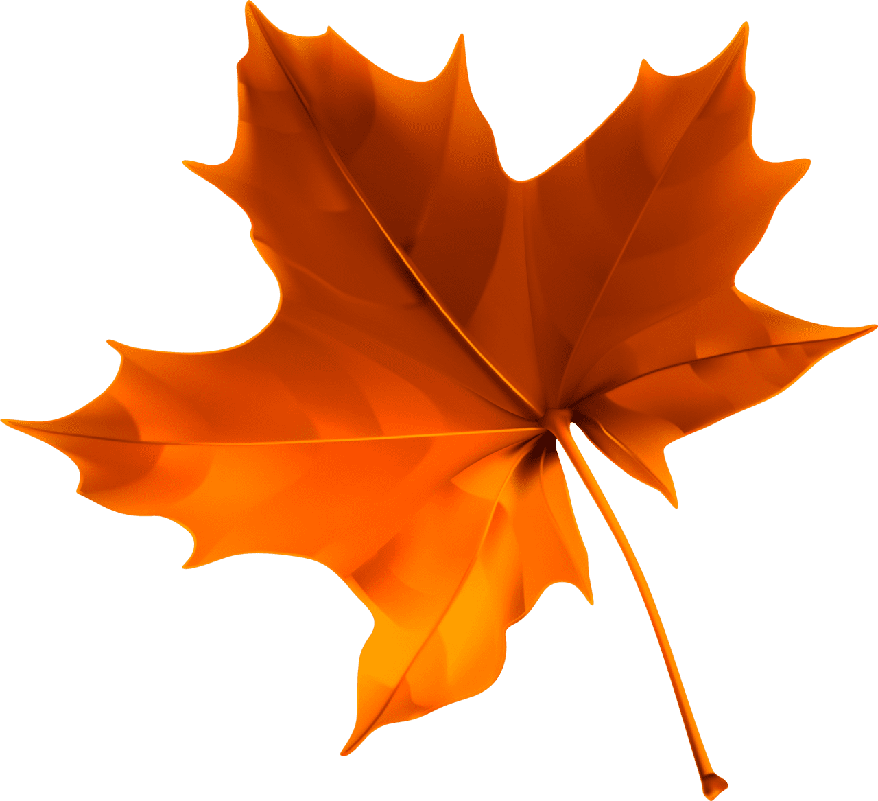 Maple leaf autumn leaves orange foliage seasonal change all clipart logo