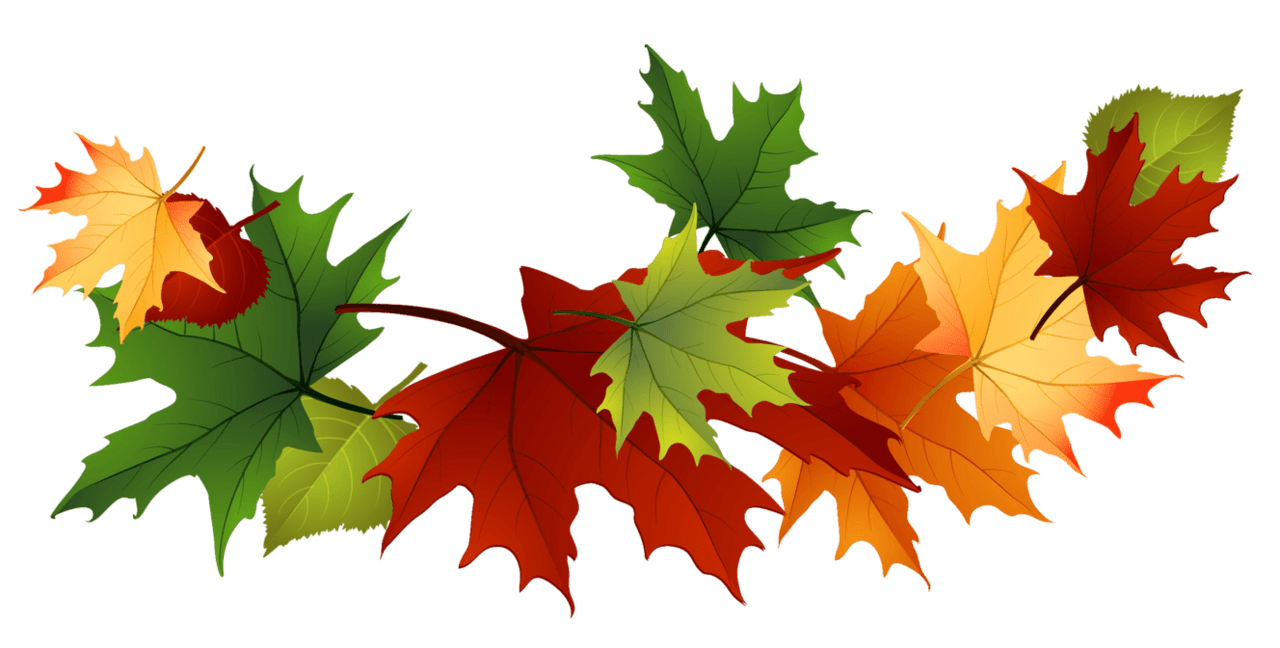 Maple leaf garland clipart transparent