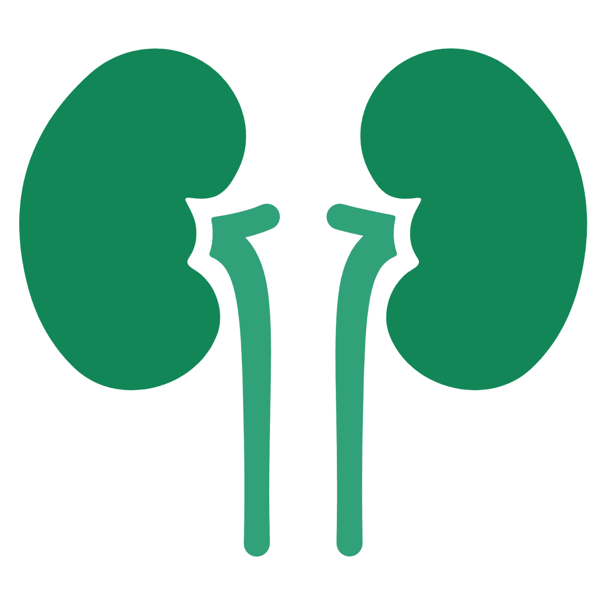 Kidney announcements clipart free