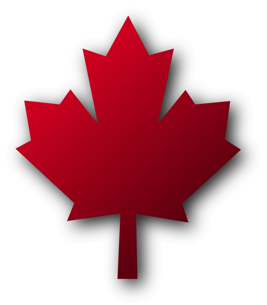 Maple leaf vector clipart