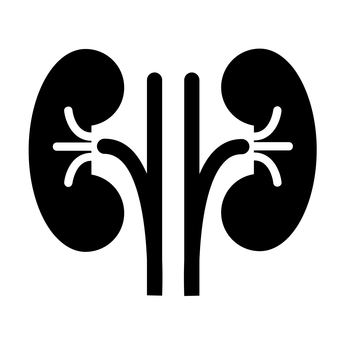 Kidney stralia clipart image