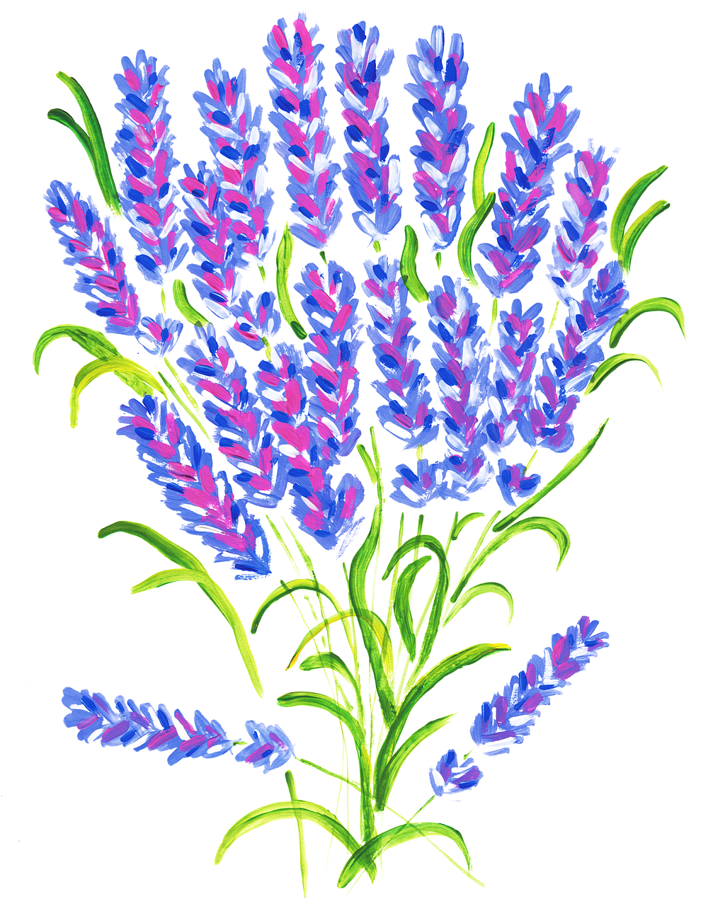 Lavender plant vector graphics clip art clipart