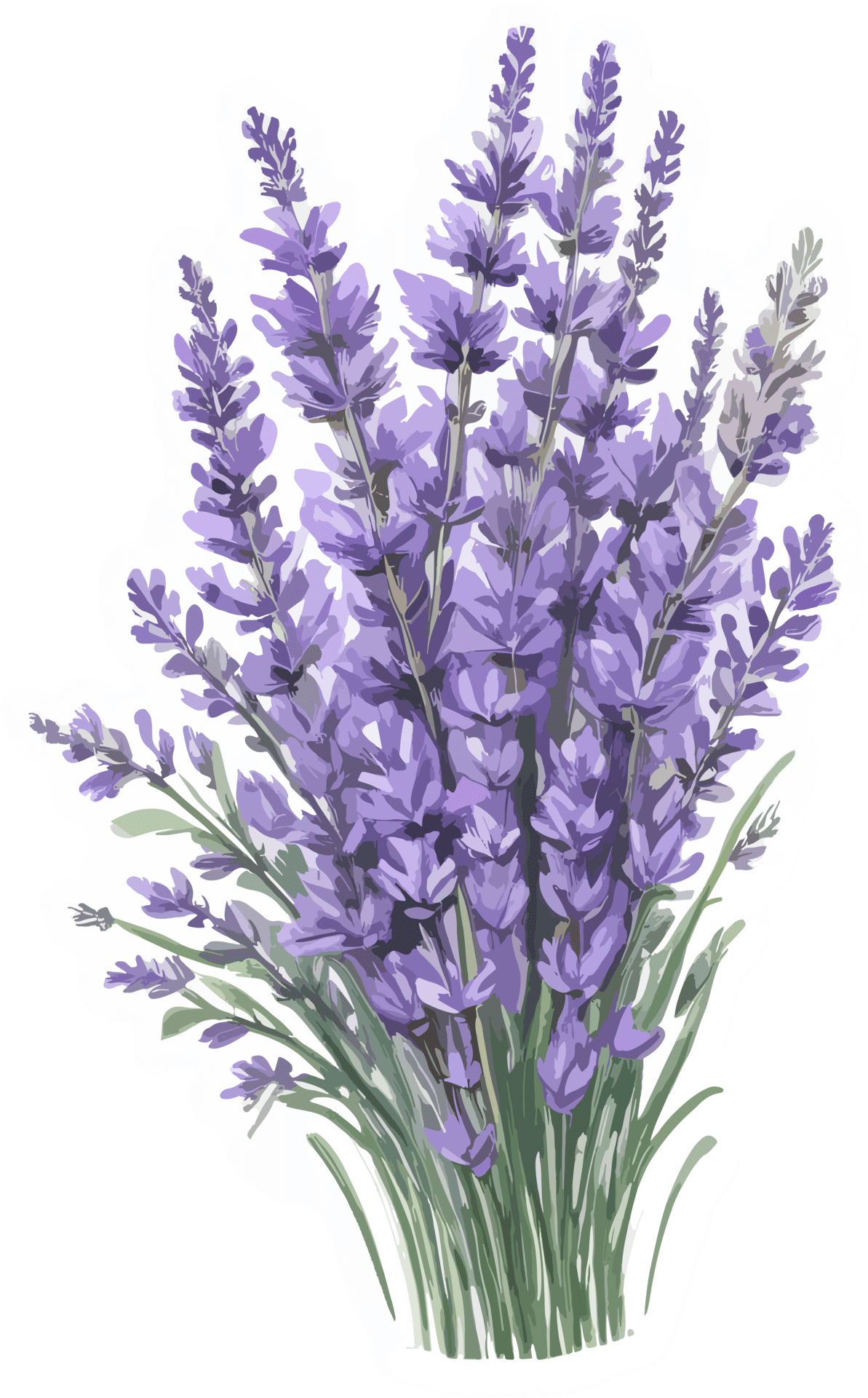 Lavender flower bouquet clipart with image