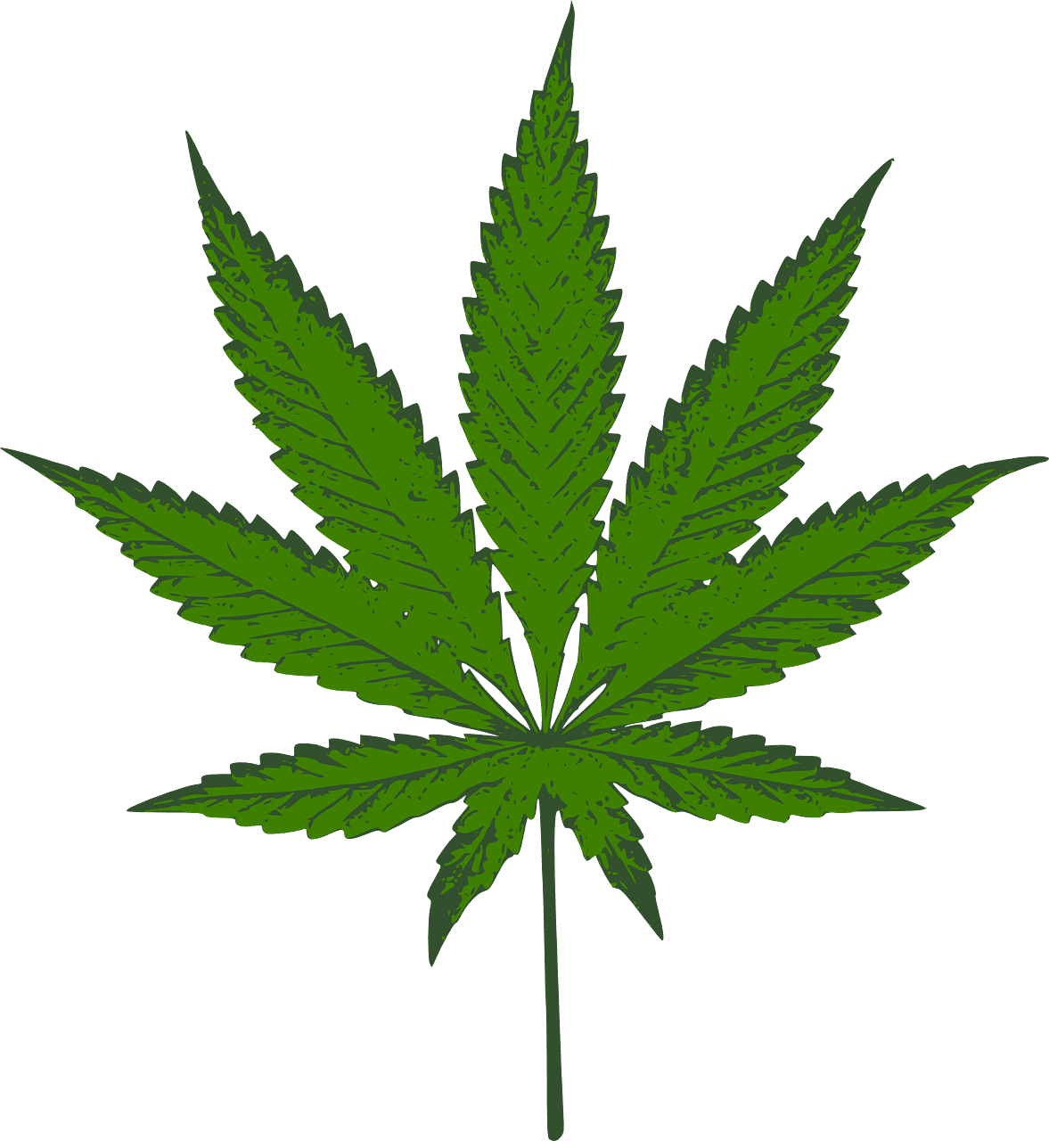 Marijuana leaf sativa hemp grass vector graphic clipart