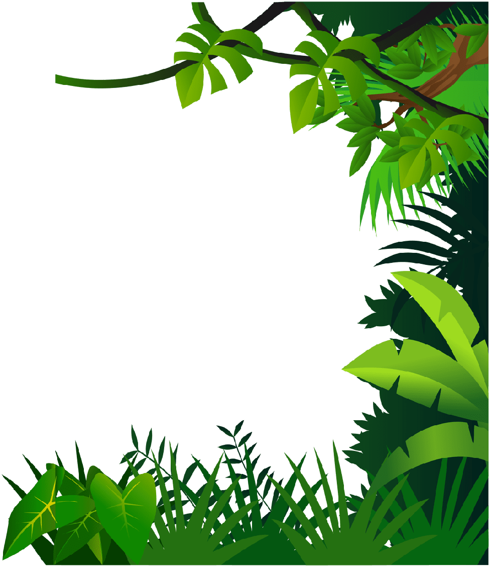 Vegetation drawing jungle plant frame clipart full size see picture