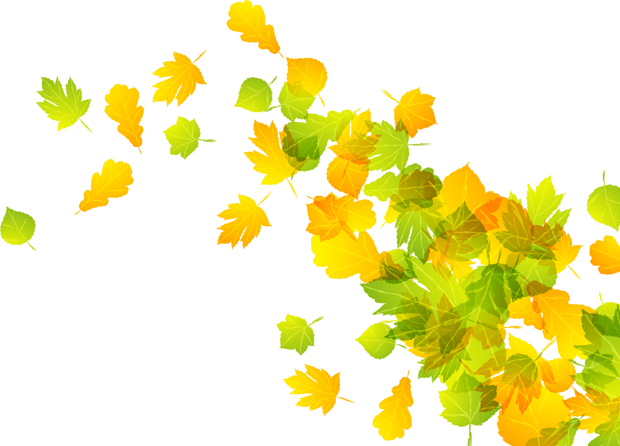 Maple leaf green and yellow autumn leaves clipart background