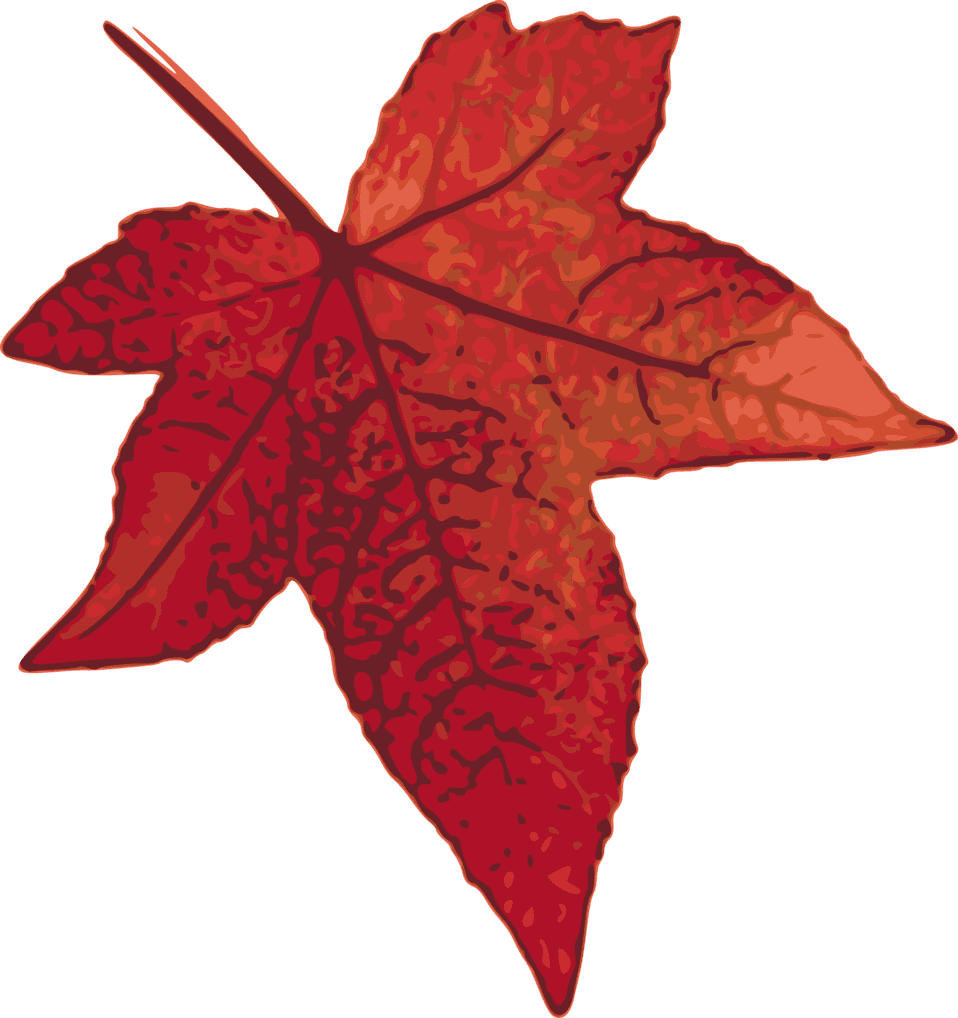 Clipart image red maple leaf id