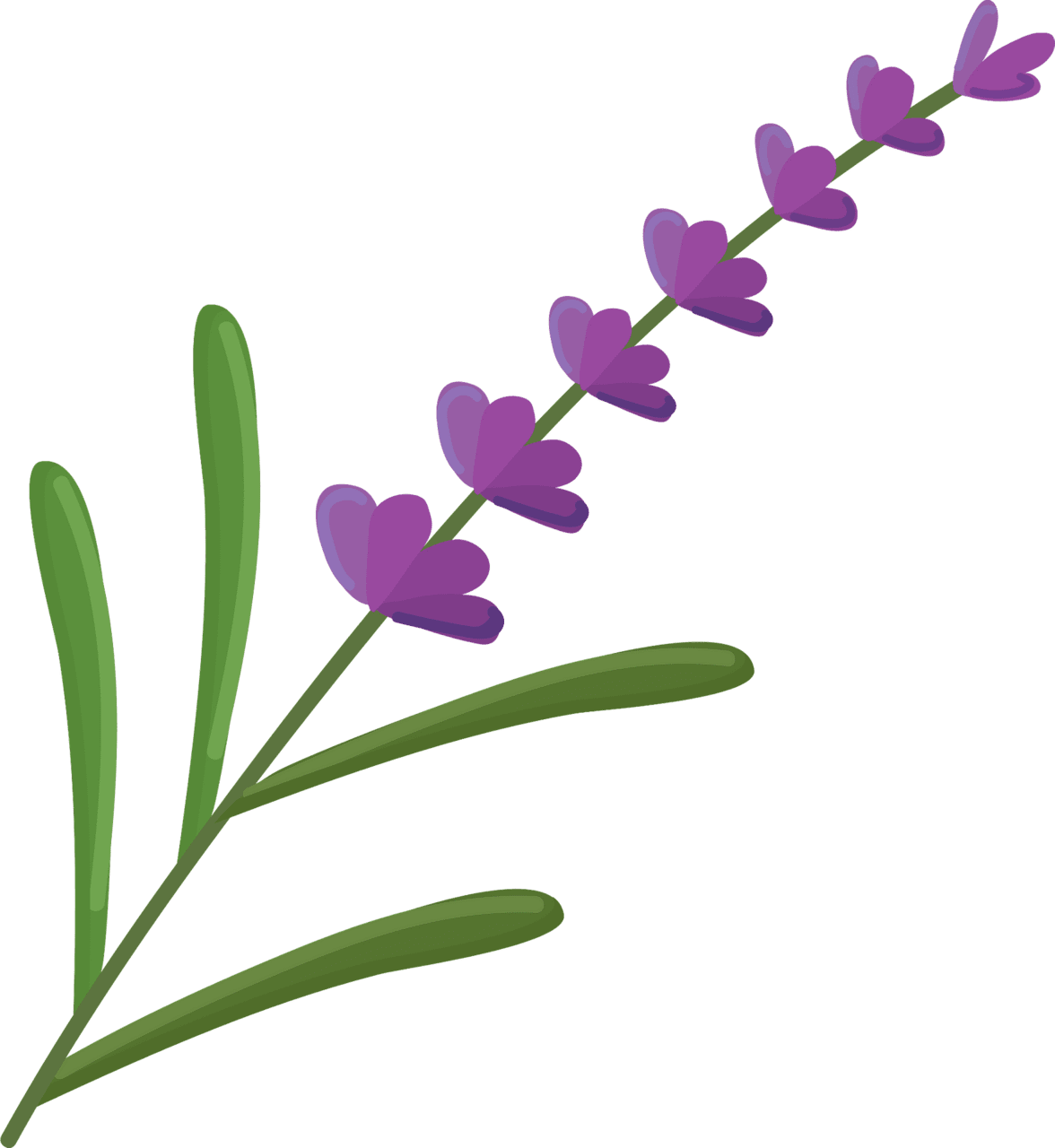 Lavender vector clipart images 2