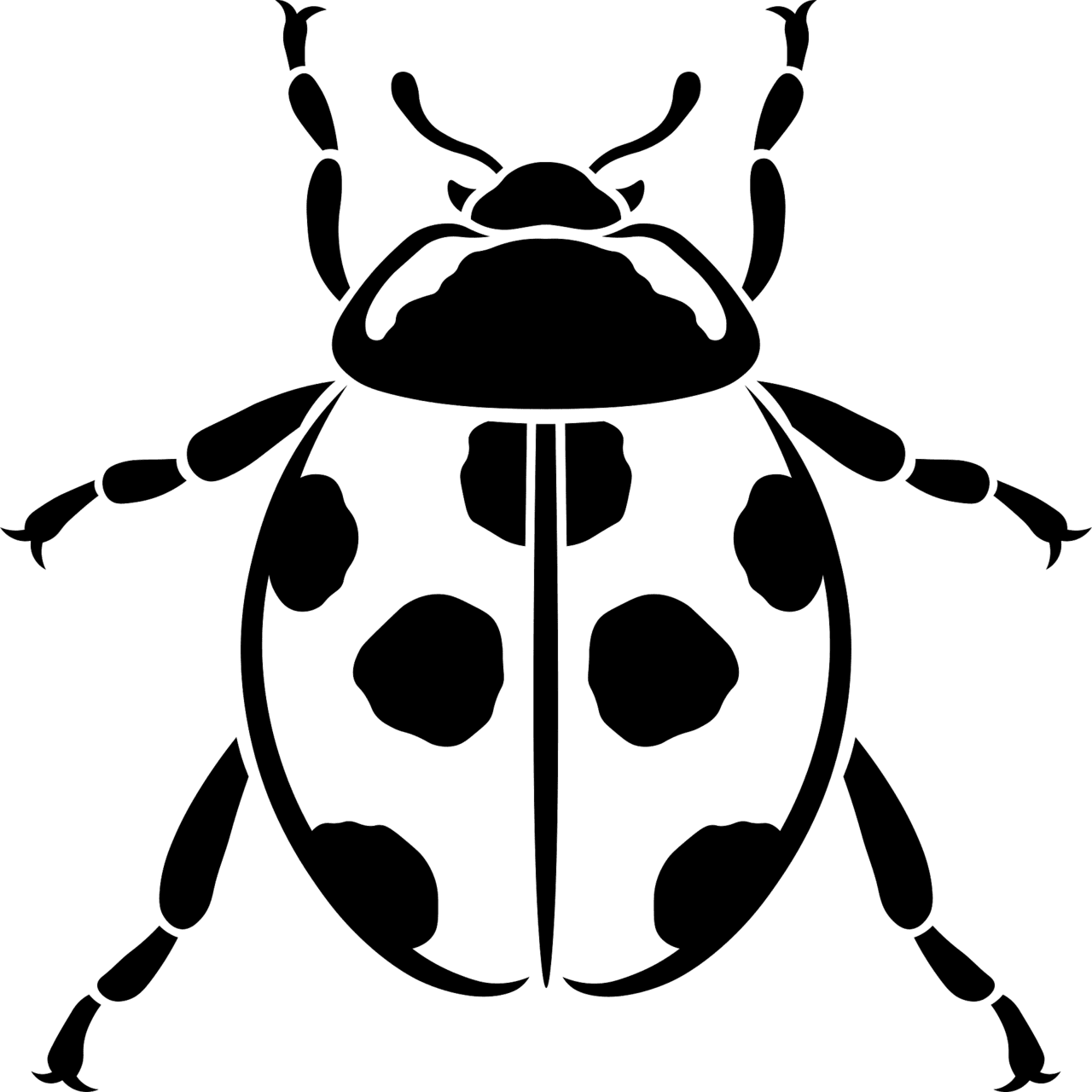 Lady beetle ladybird vector clipart images