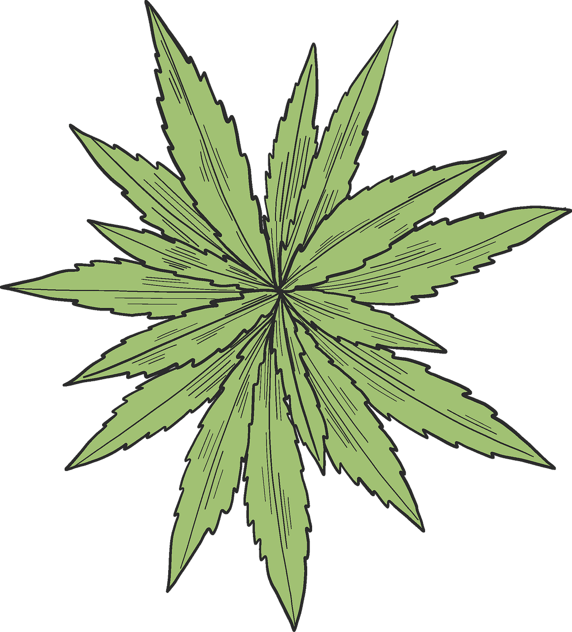 Marijuana leaf vector clipart images 6