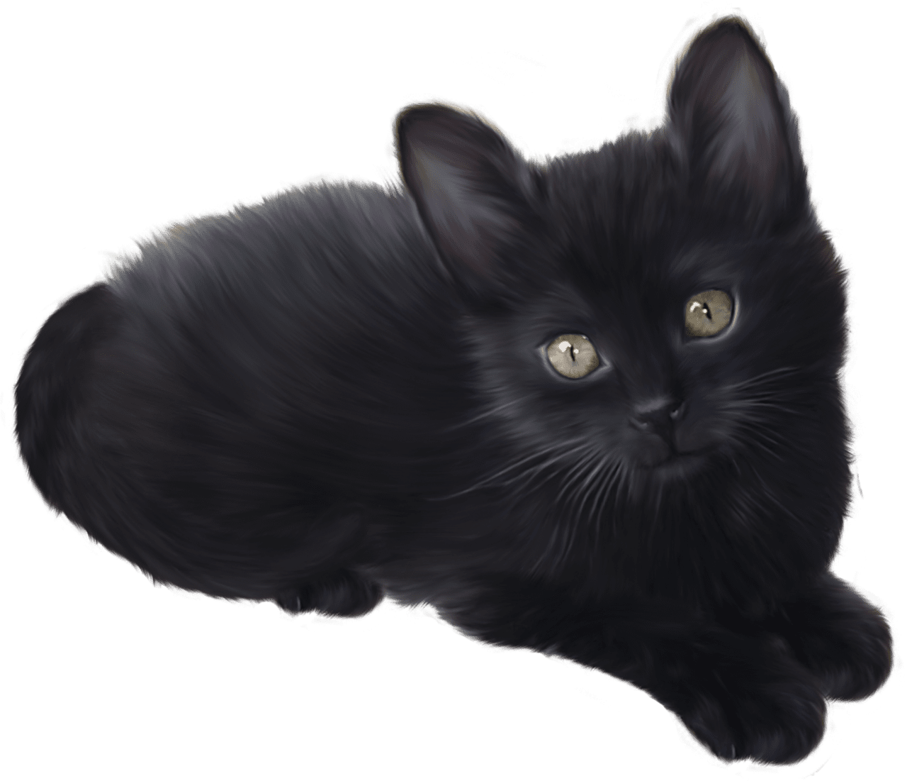 Black kitten clipart best free