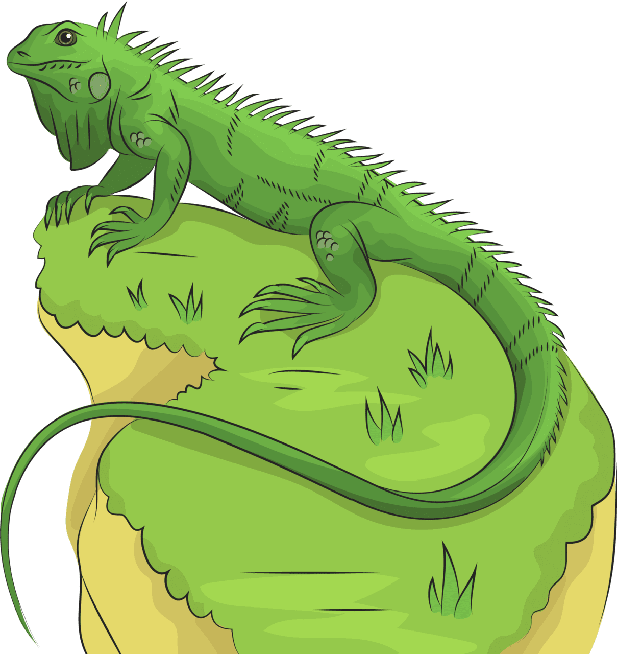 Iguana vector clipart images 9