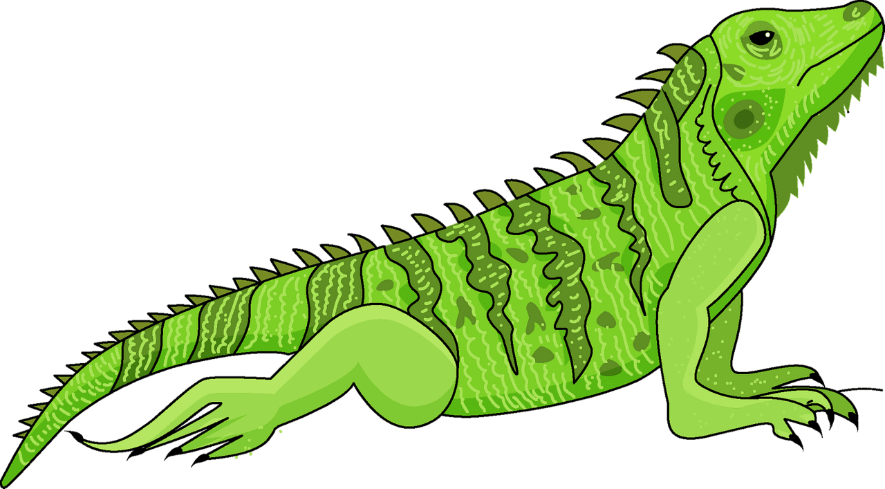 Iguana vector clipart images